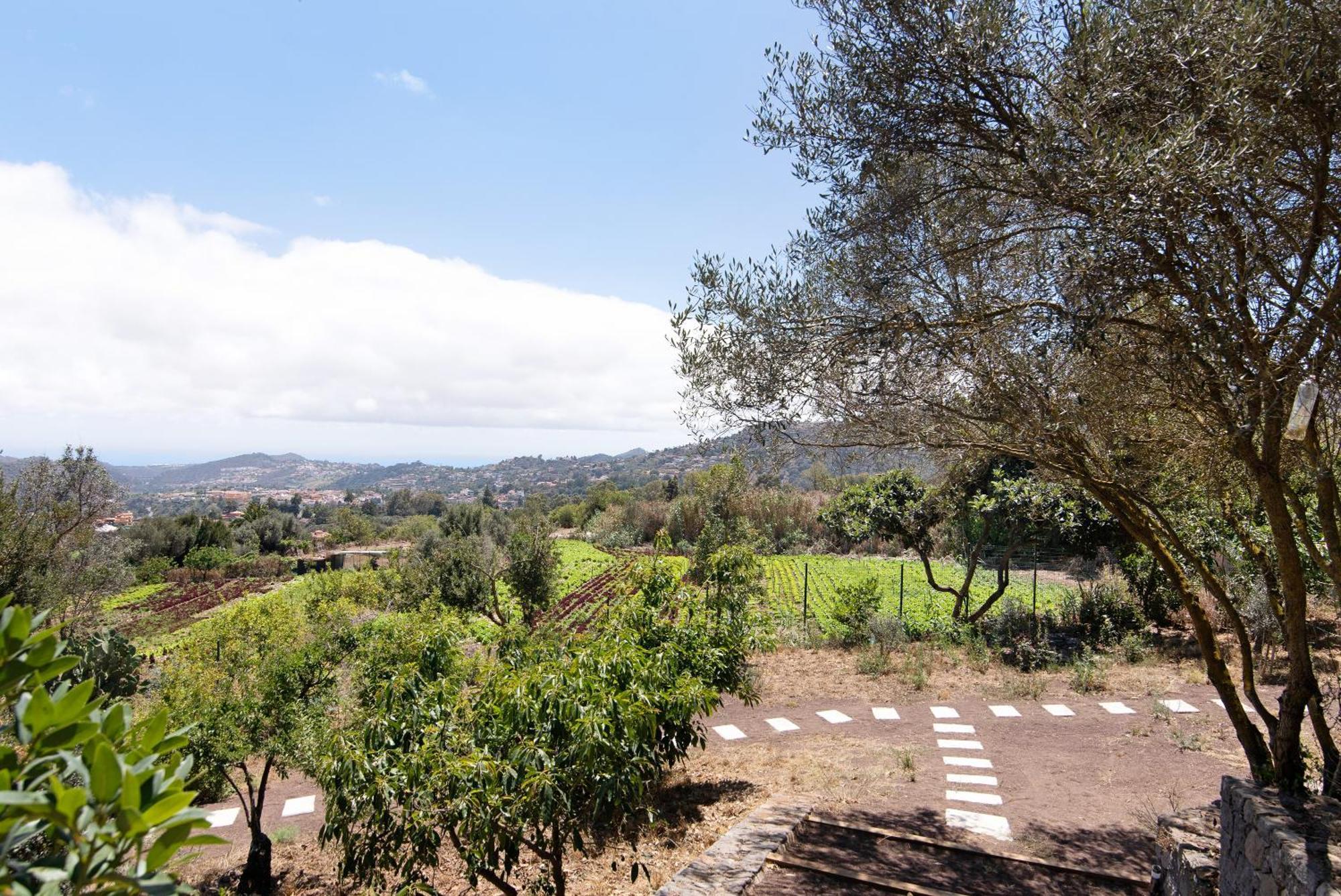 La Casita De La Orilla De Penate Villa Santa Brígida Eksteriør billede