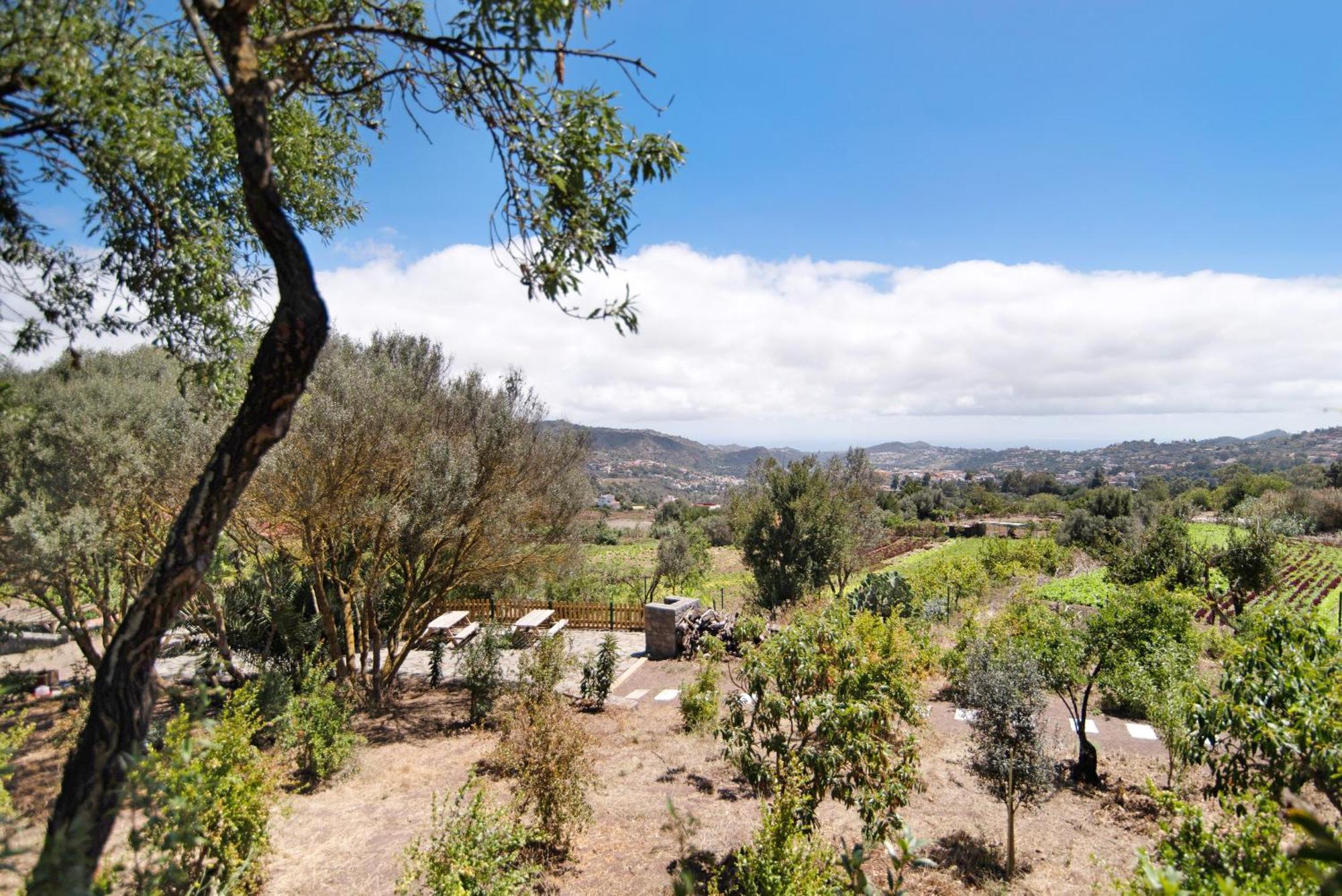 La Casita De La Orilla De Penate Villa Santa Brígida Eksteriør billede